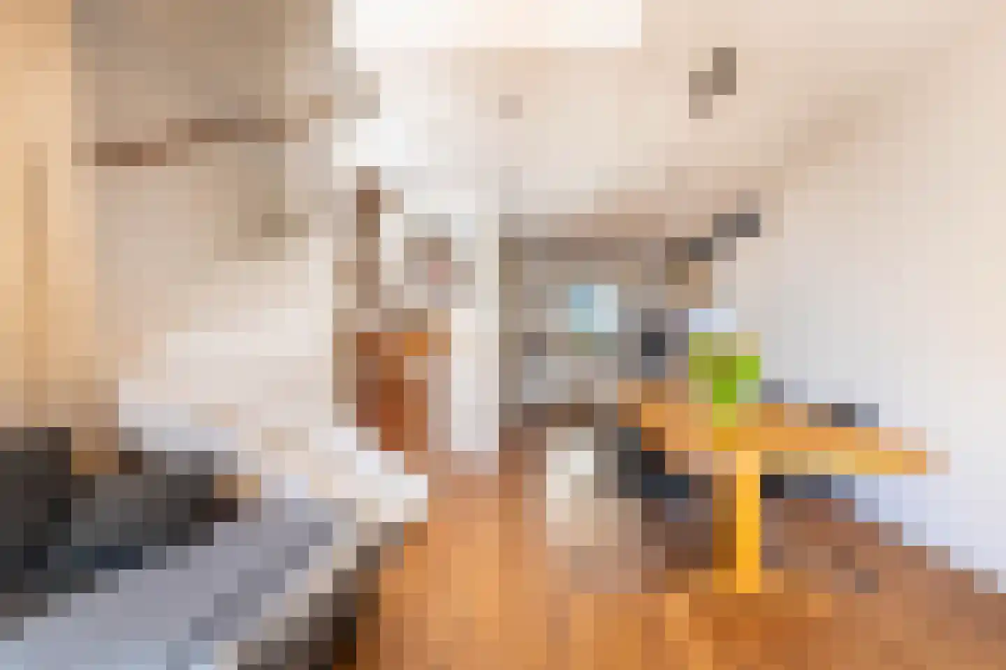 Jan Olphert Vaillantlaan 62 Amsterdam thumbnail 15