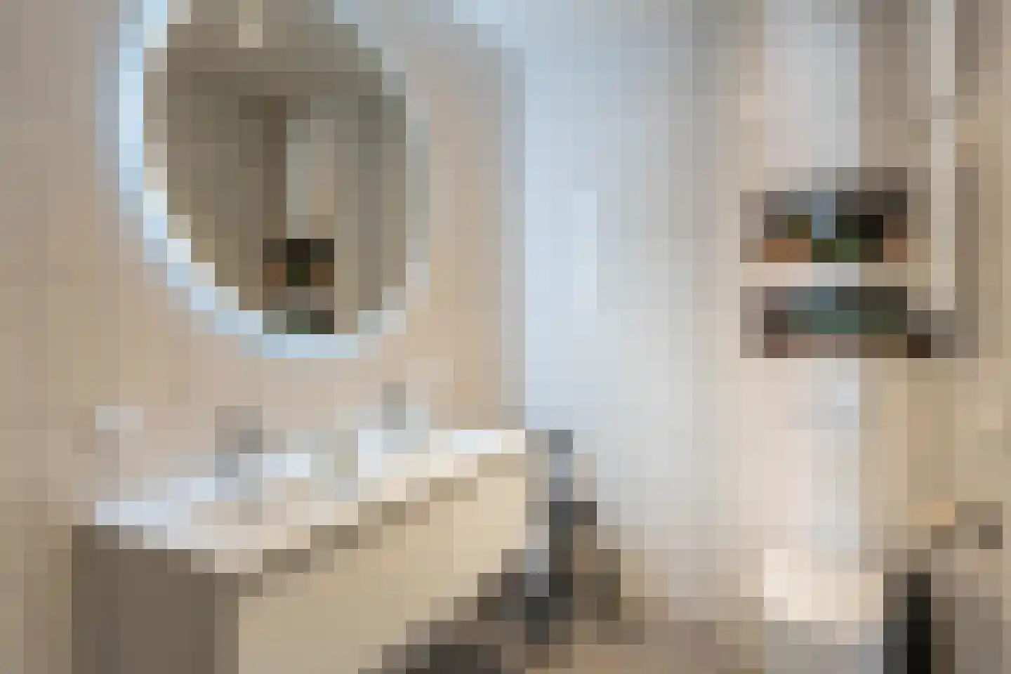Jan Olphert Vaillantlaan 62 Amsterdam thumbnail 23