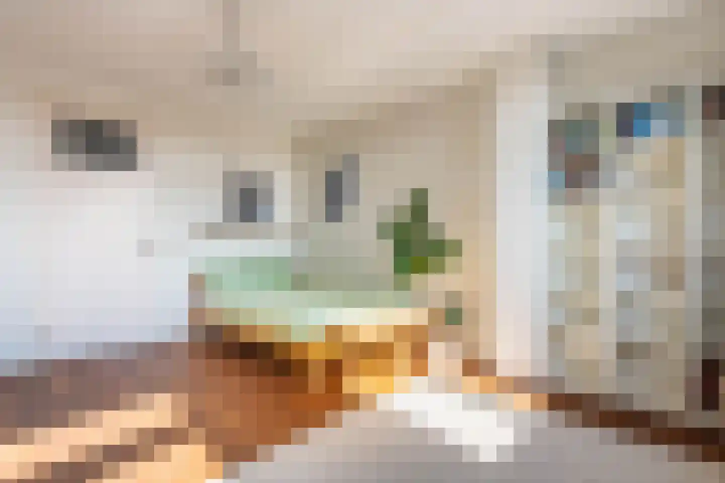 Jan Olphert Vaillantlaan 62 Amsterdam thumbnail 30
