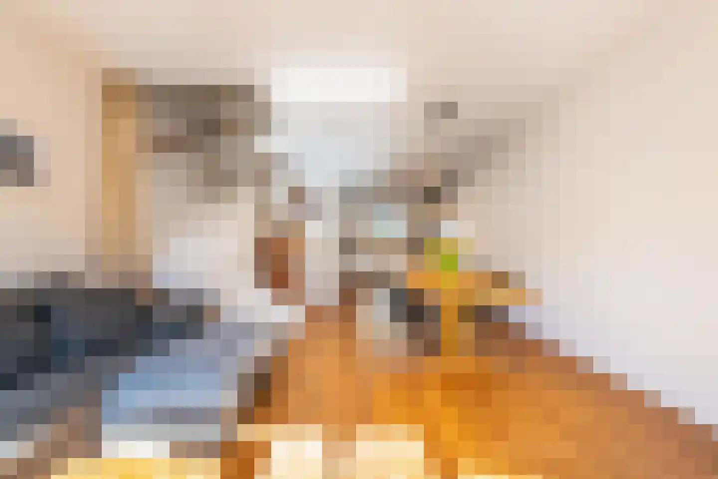 Jan Olphert Vaillantlaan 62 Amsterdam thumbnail 8