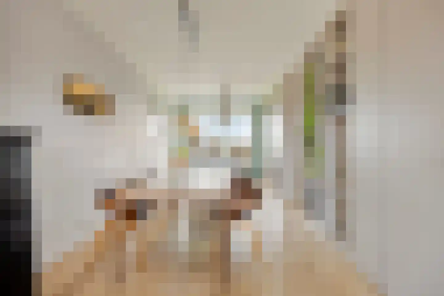 Jan Olphert Vaillantlaan 73 C Amsterdam thumbnail 6