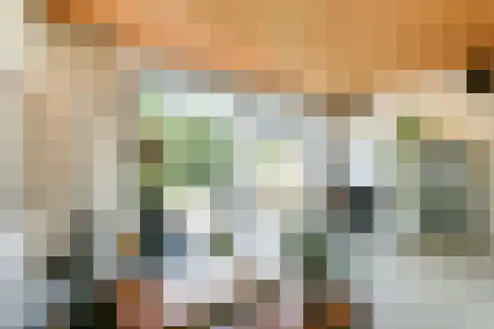 Jan Olphert Vaillantlaan 99 A Amsterdam thumbnail 10