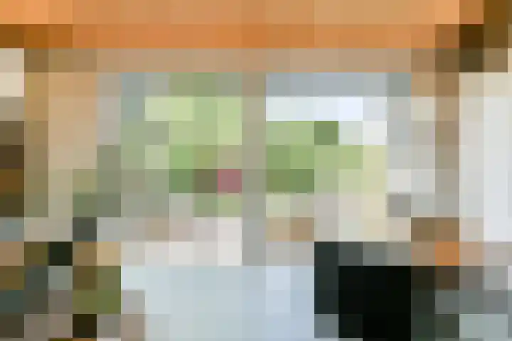 Jan Olphert Vaillantlaan 99 A Amsterdam thumbnail 11