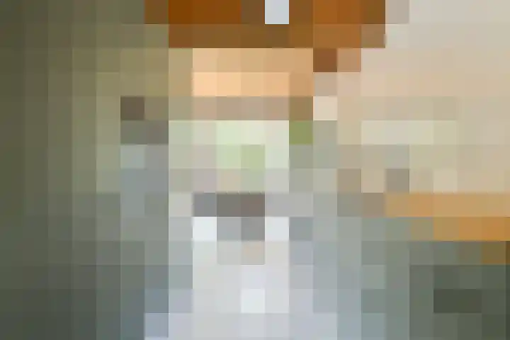 Jan Olphert Vaillantlaan 99 A Amsterdam thumbnail 12