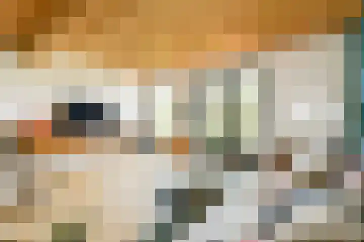Jan Olphert Vaillantlaan 99 A Amsterdam thumbnail 18