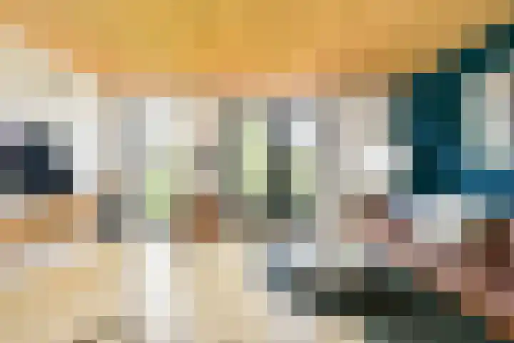 Jan Olphert Vaillantlaan 99 A Amsterdam thumbnail 20