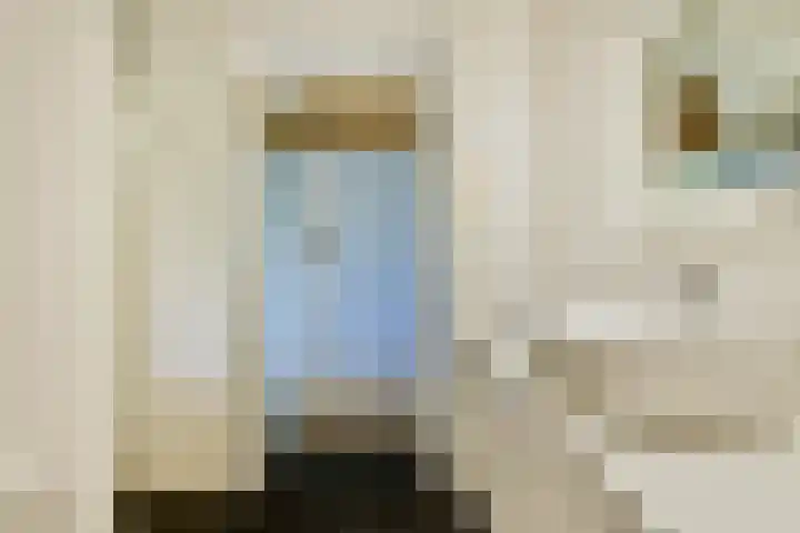 Jan Olphert Vaillantlaan 99 A Amsterdam thumbnail 24