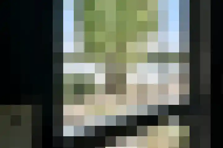 Jan Olphert Vaillantlaan 99 A Amsterdam thumbnail 27