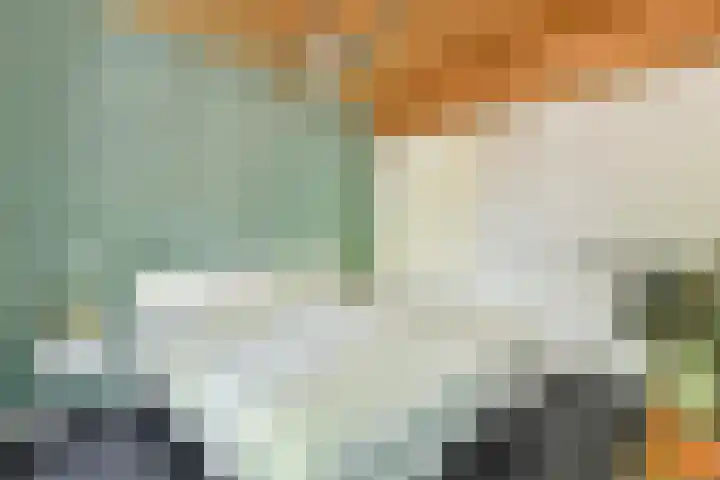 Jan Olphert Vaillantlaan 99 A Amsterdam thumbnail 28
