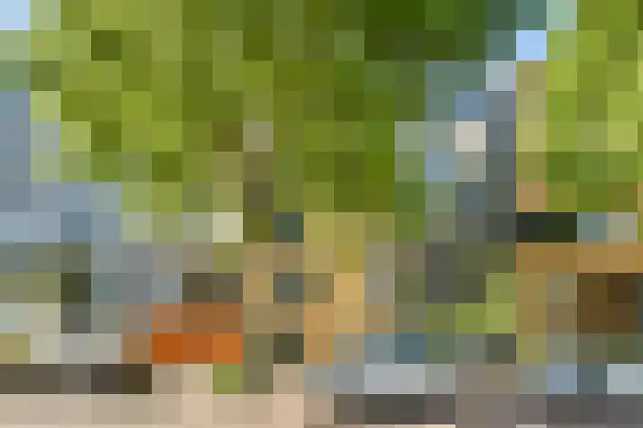 Jan Olphert Vaillantlaan 99 A Amsterdam thumbnail 32