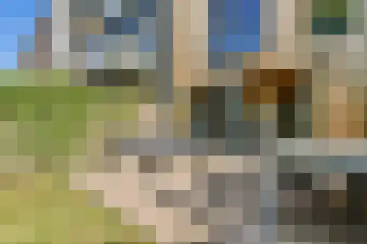 Jan Olphert Vaillantlaan 99 A Amsterdam thumbnail 43