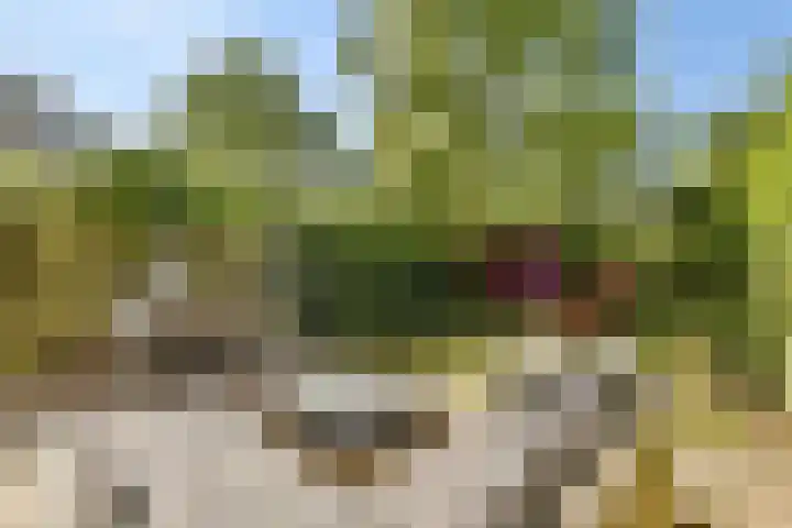 Jan Olphert Vaillantlaan 99 A Amsterdam thumbnail 6