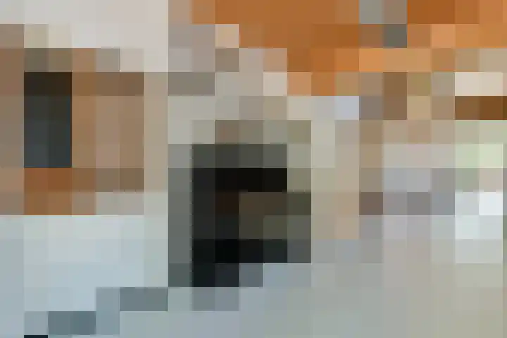 Jan Olphert Vaillantlaan 99 A Amsterdam thumbnail 8
