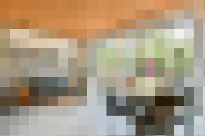 Jan Olphert Vaillantlaan 99 A Amsterdam thumbnail 9