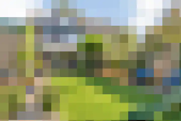 Jan Oomenstraat 3 Bavel thumbnail 4
