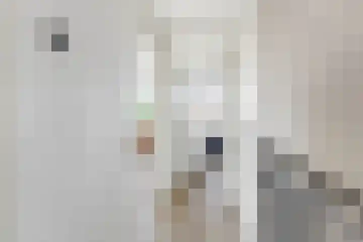 Jan Oomenstraat 3 Bavel thumbnail 43