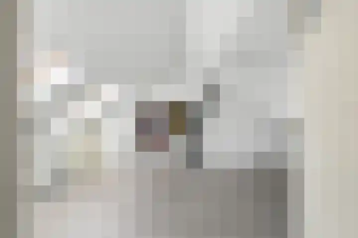 Jan Oomenstraat 3 Bavel thumbnail 62