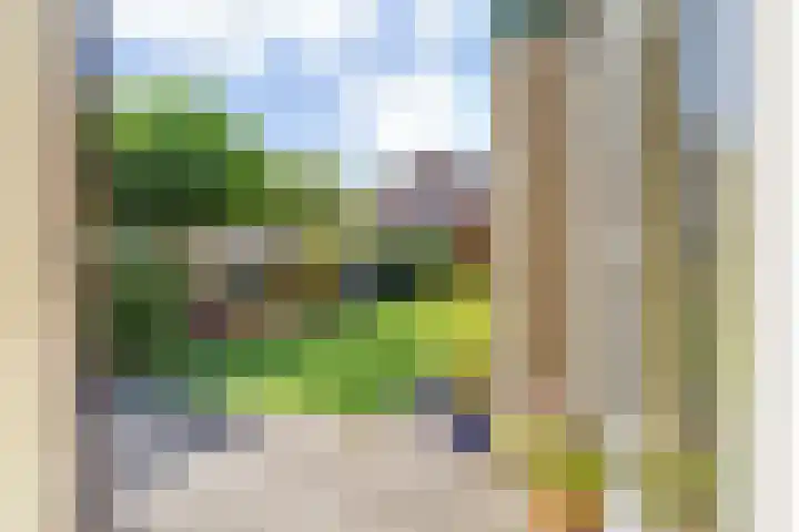 Jan Oomenstraat 3 Bavel thumbnail 66