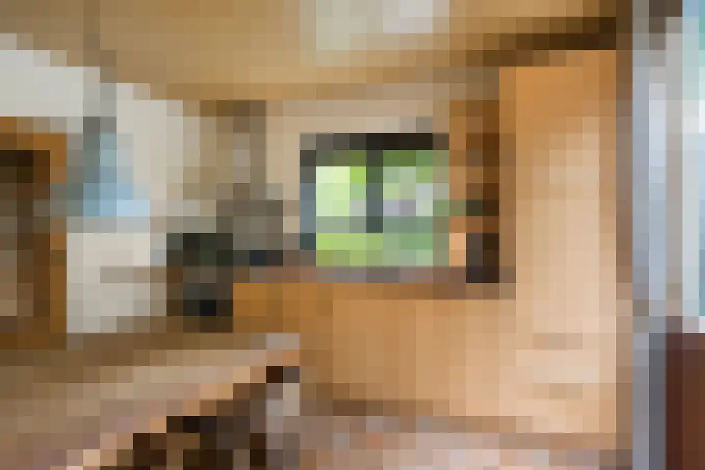 Jan Oomenstraat 34 Bavel thumbnail 12