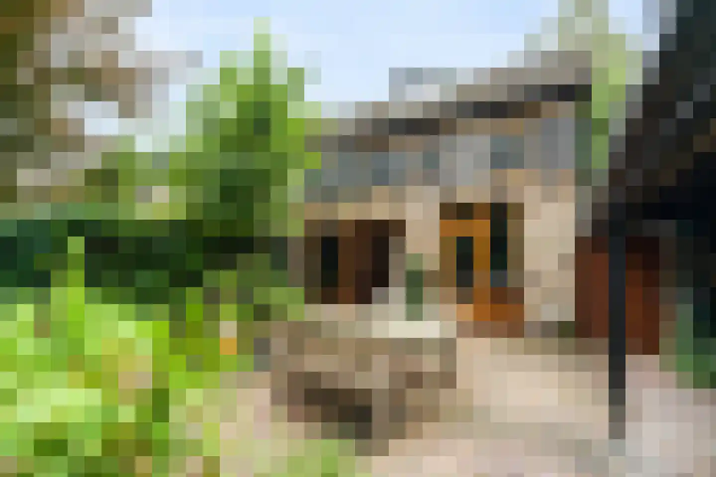 Jan Oomenstraat 34 Bavel thumbnail 22