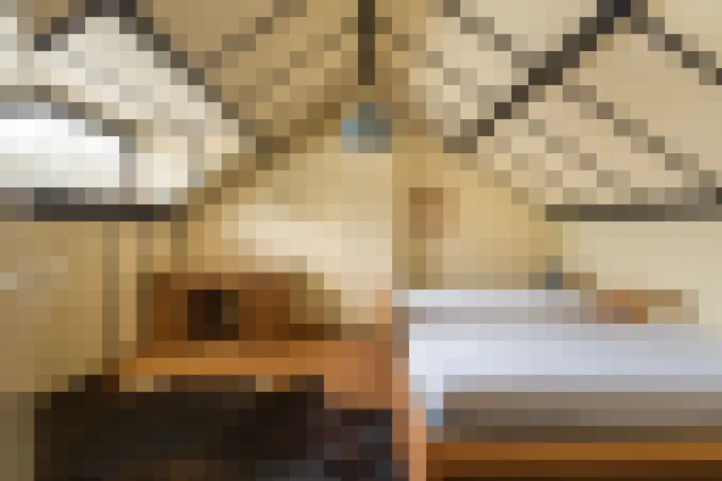 Jan Oomenstraat 34 Bavel thumbnail 30