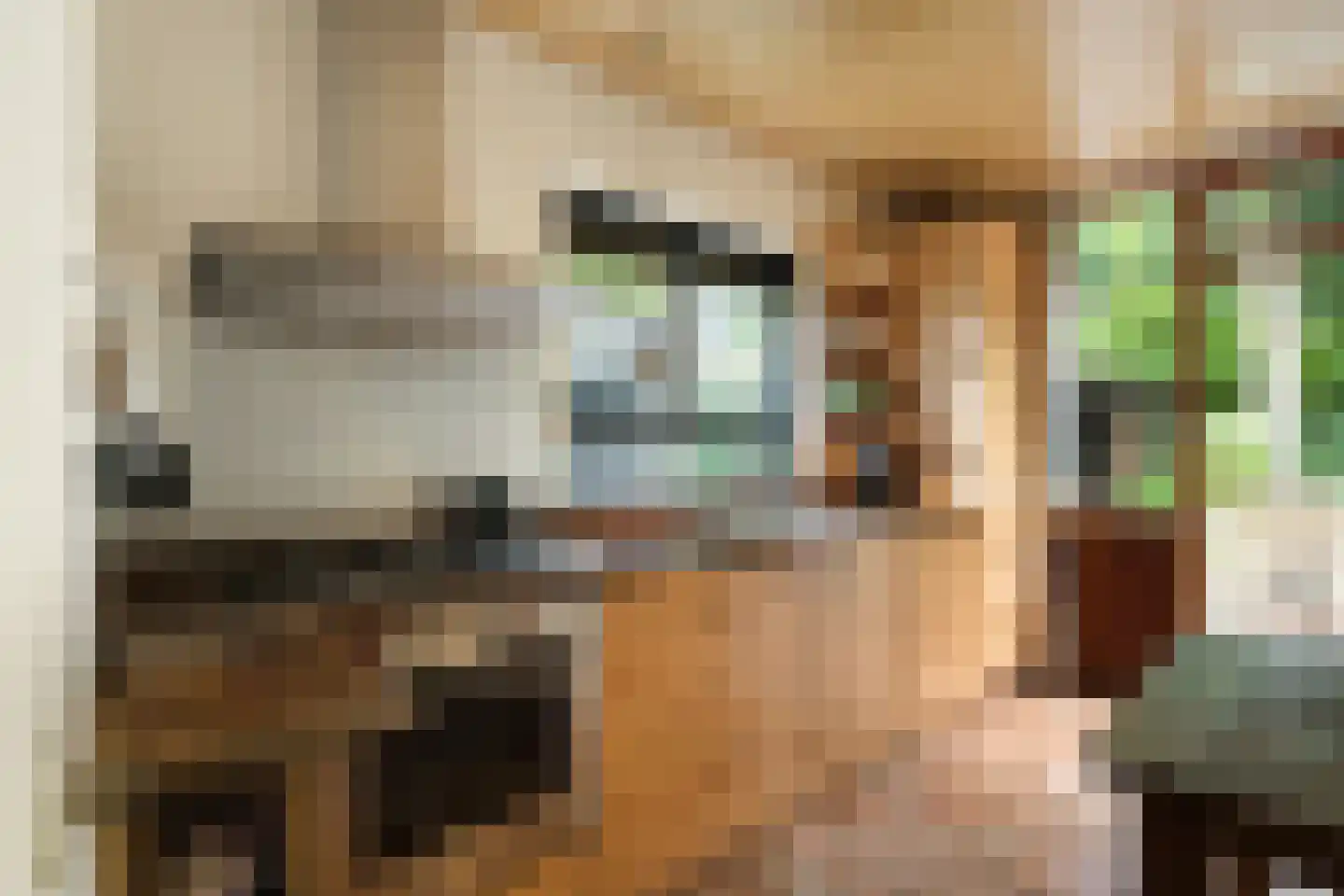 Jan Oomenstraat 34 Bavel thumbnail 4