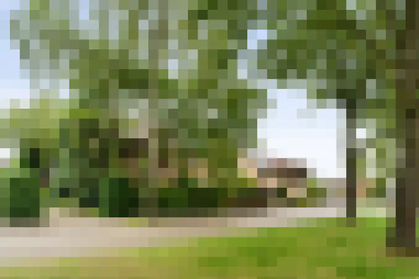 Jan Oomenstraat 34 Bavel thumbnail 6
