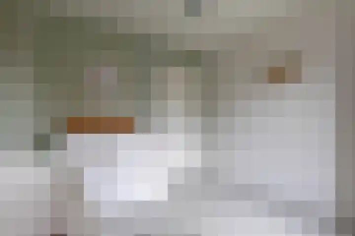 Jan Oomenstraat 45 Bavel thumbnail 41