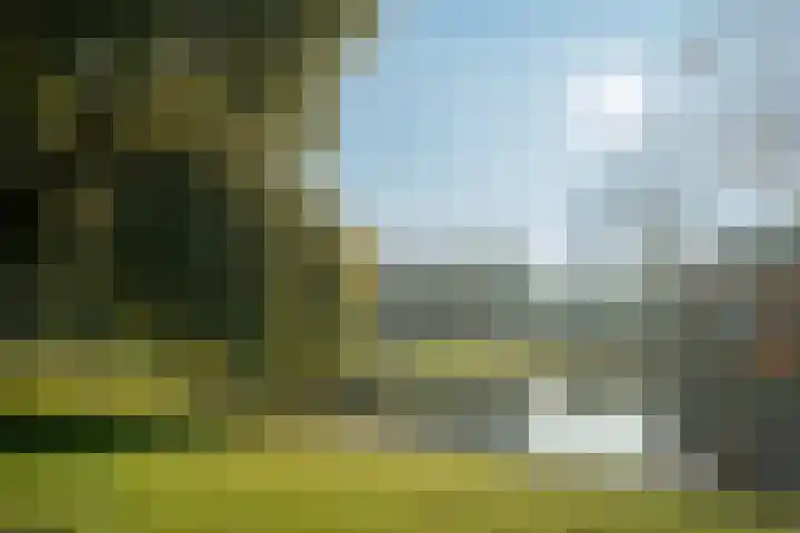 Jan P. Sweelincksingel 14 Hoofddorp thumbnail 65