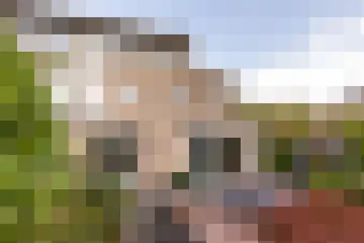 Jan P. Sweelincksingel 32 Hoofddorp thumbnail 25