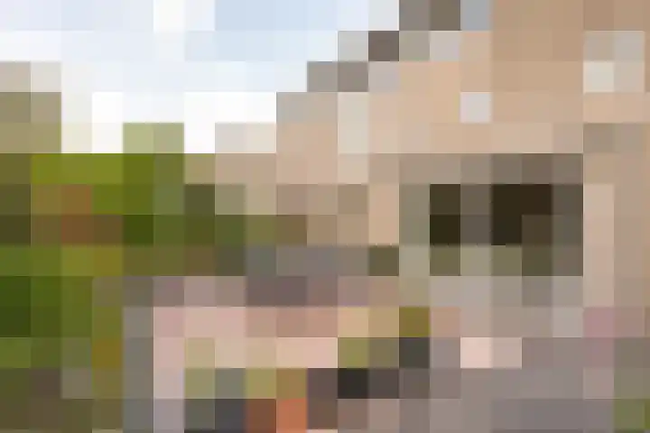 Jan P. Sweelincksingel 32 Hoofddorp thumbnail 26