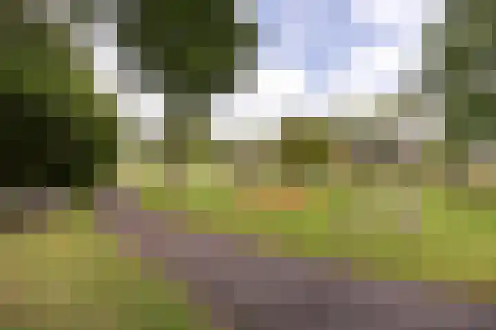 Jan P. Sweelincksingel 32 Hoofddorp thumbnail 33