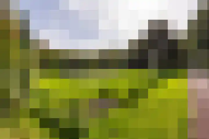Jan P. Sweelincksingel 32 Hoofddorp thumbnail 34