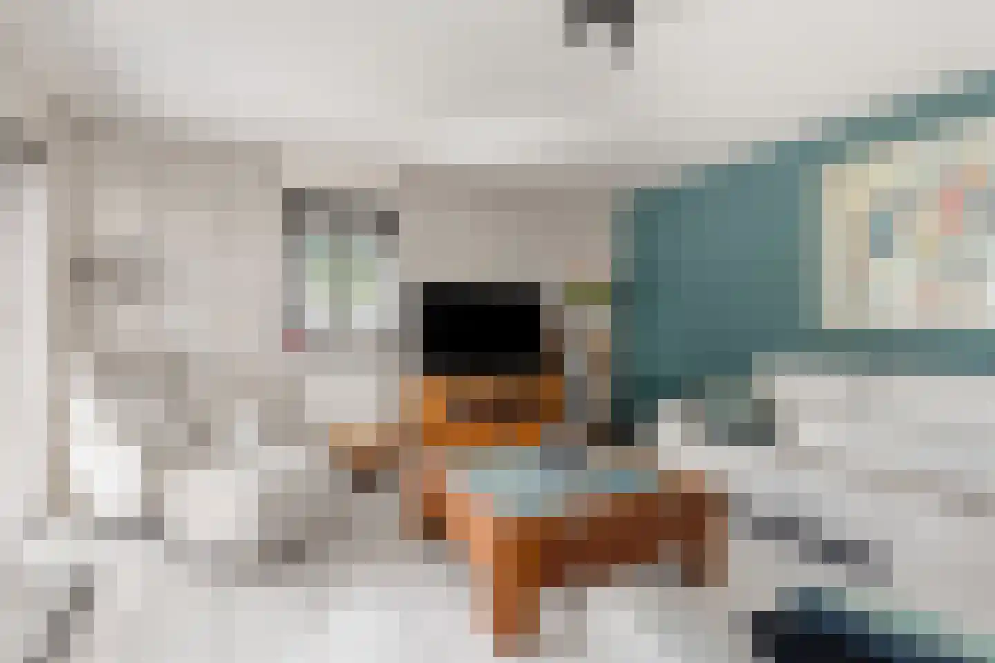 Jan P. Sweelincksingel 8 Hoofddorp thumbnail 17