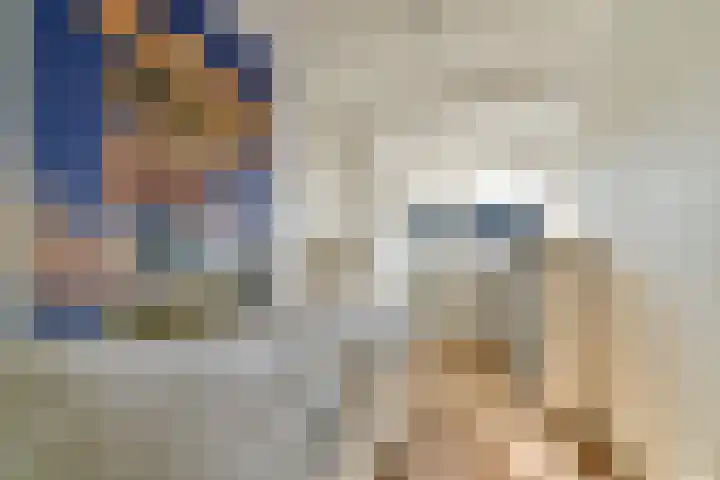 Jan P. Vethstraat 64 Hendrik-Ido-Ambacht thumbnail 21