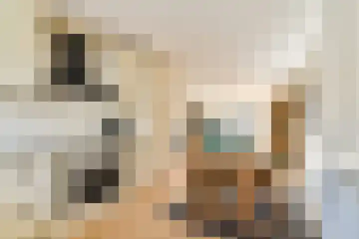 Jan P. Vethstraat 64 Hendrik-Ido-Ambacht thumbnail 8
