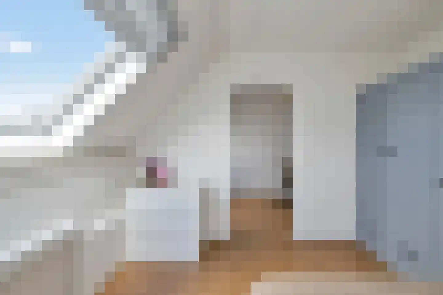Jan Palachstraat 37 Purmerend thumbnail 34