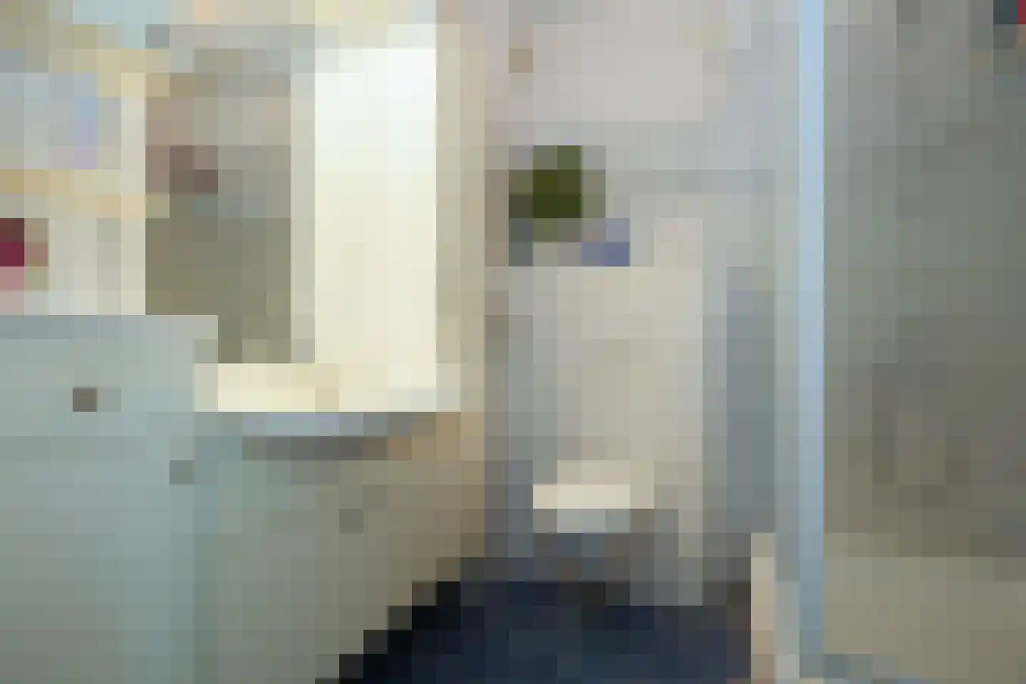 Jan Palachstraat 39 Purmerend thumbnail 26