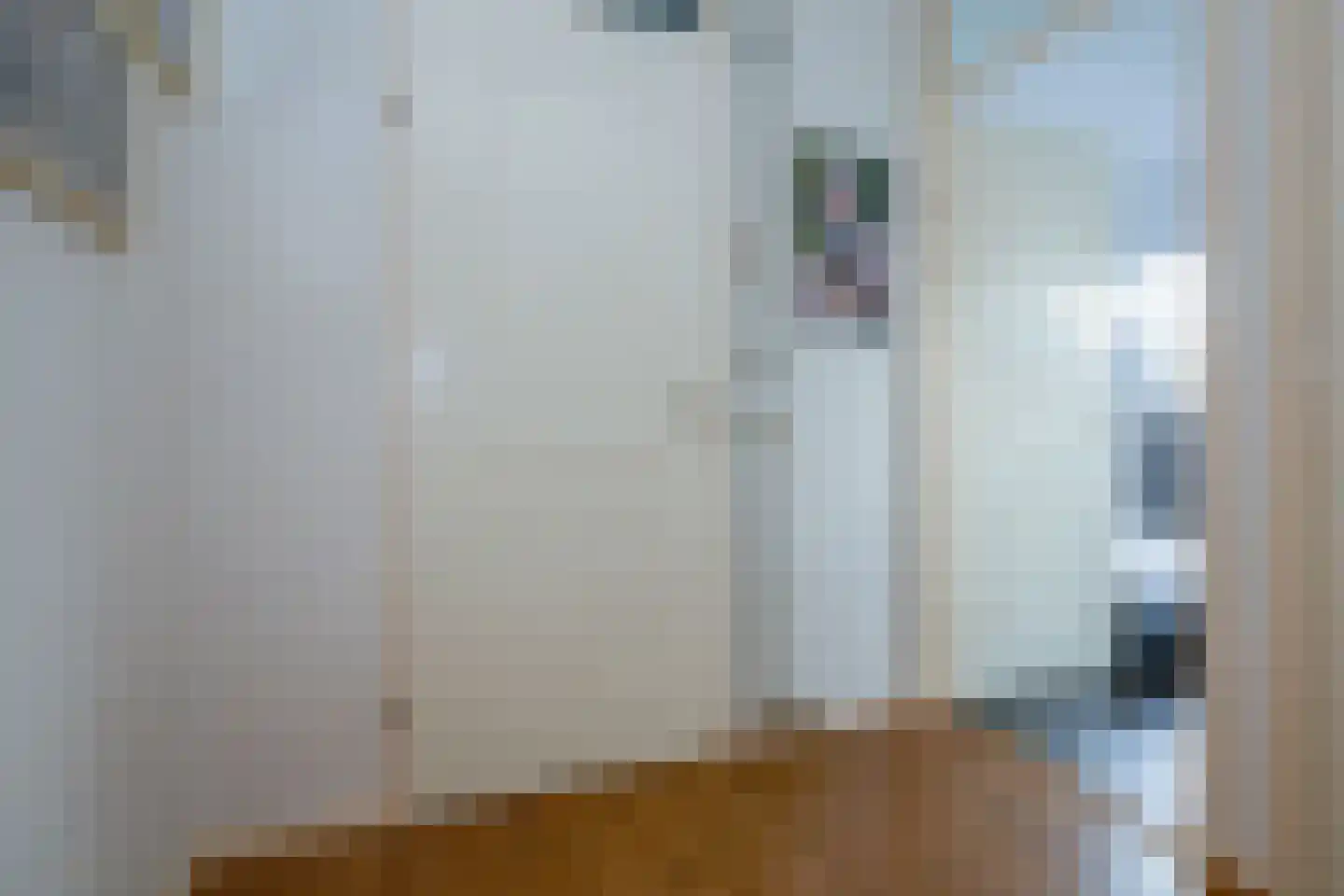 Jan Palachstraat 39 Purmerend thumbnail 30
