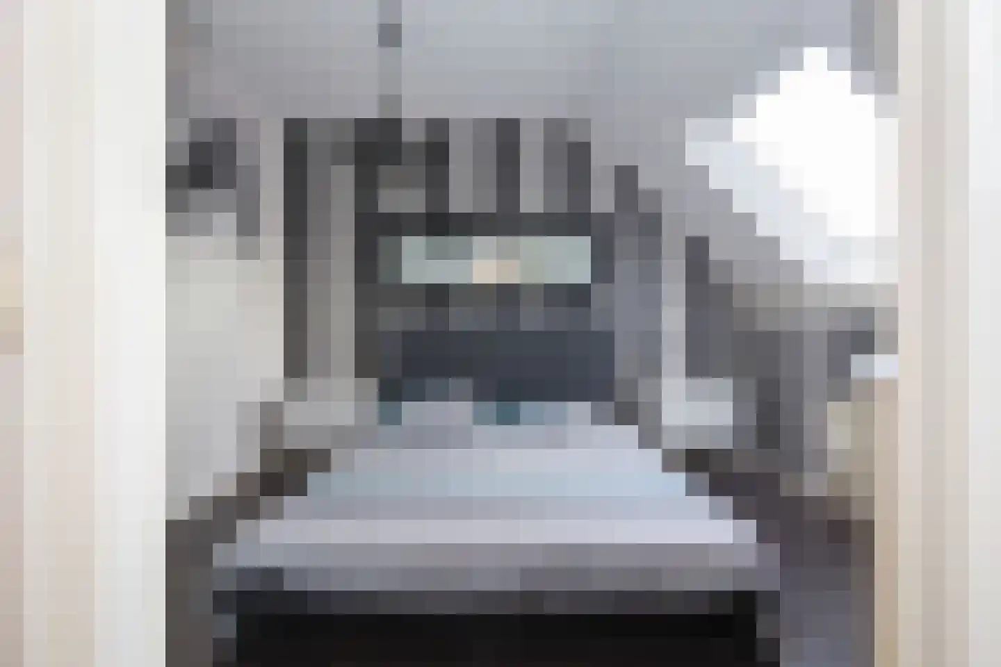 Jan Palachstraat 39 Purmerend thumbnail 32