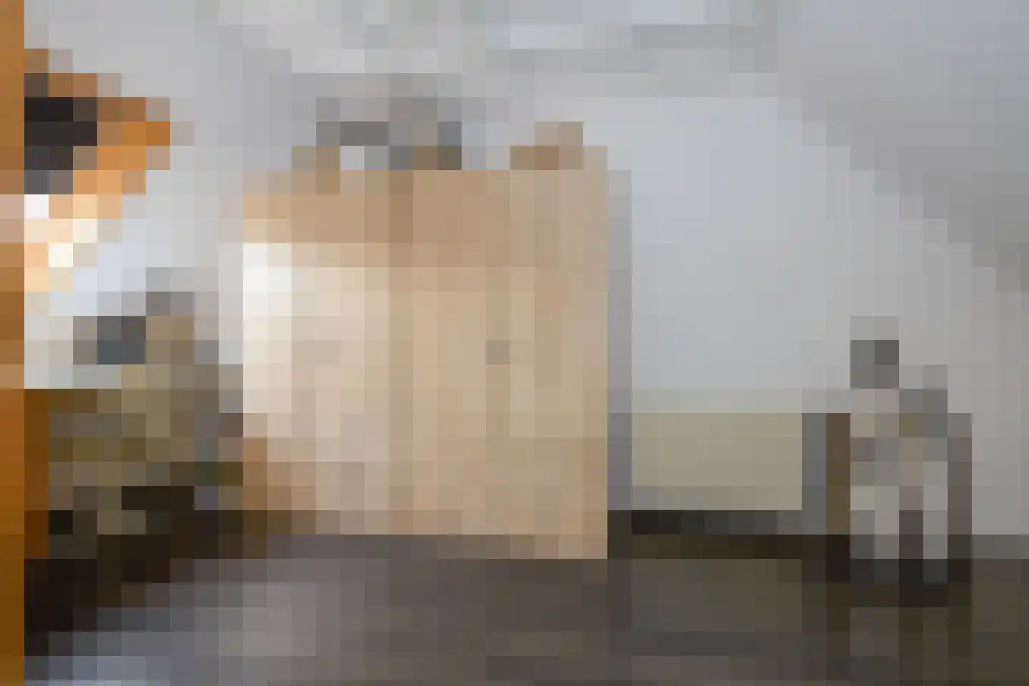 Jan Palachstraat 39 Purmerend thumbnail 41