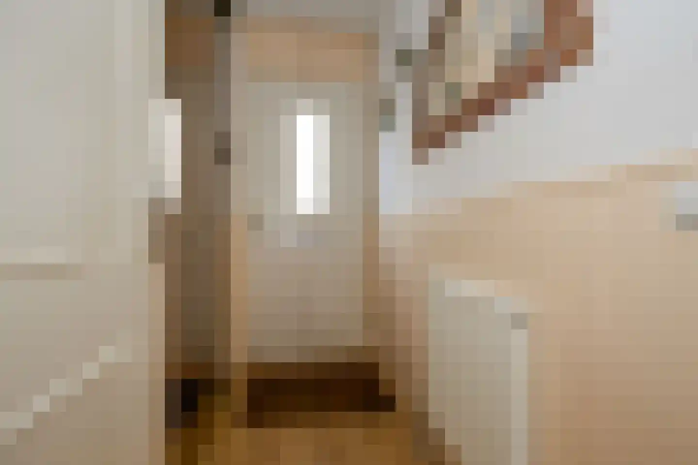 Jan Palachstraat 39 Purmerend thumbnail 8