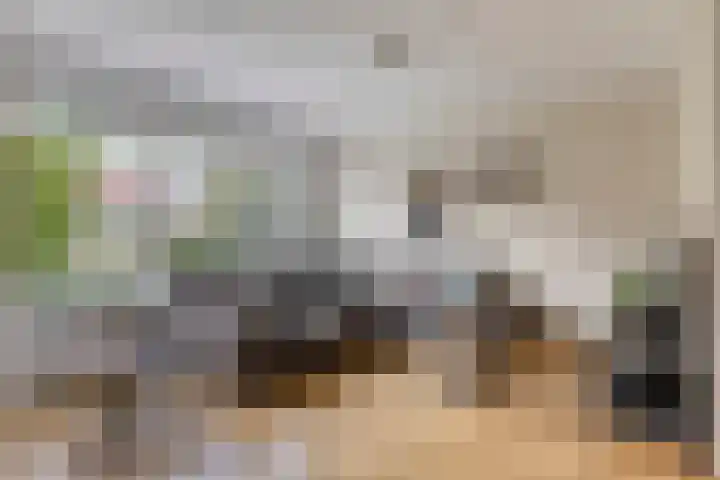 Jan Palachweg 43 Assen thumbnail 10
