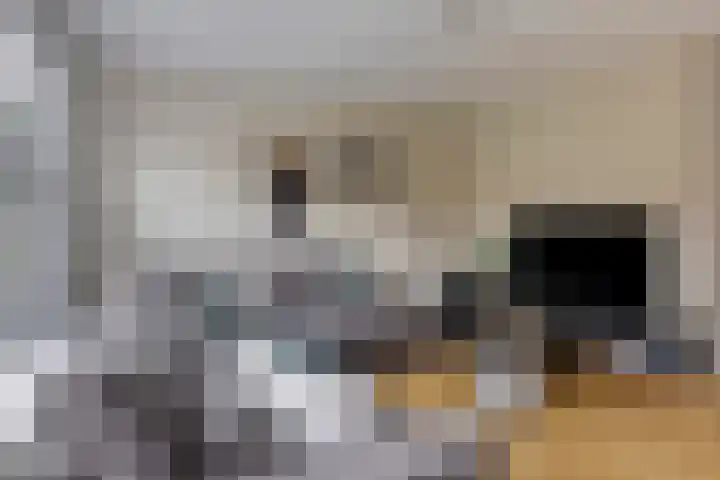 Jan Palachweg 43 Assen thumbnail 12