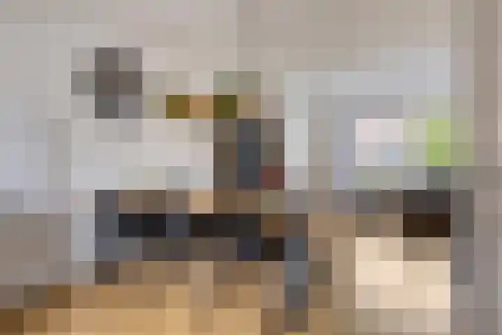 Jan Palachweg 43 Assen thumbnail 14