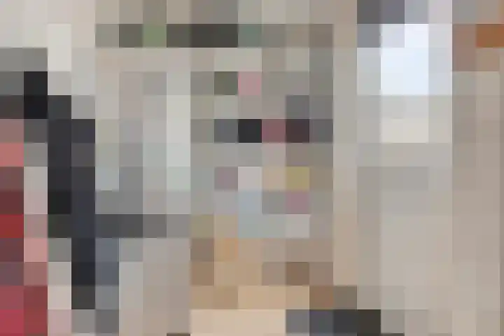 Jan Palachweg 43 Assen thumbnail 18