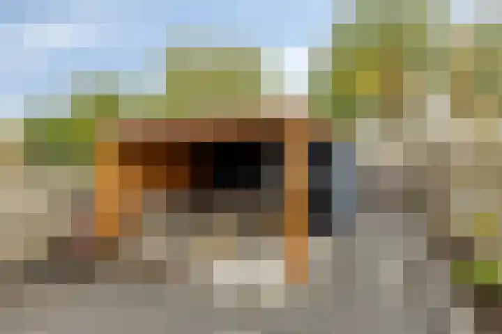 Jan Palachweg 43 Assen thumbnail 33