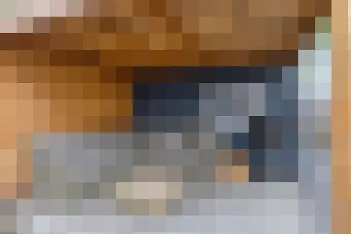 Jan Palachweg 43 Assen thumbnail 34