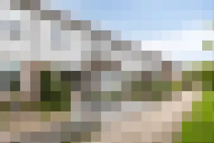 Jan Palachweg 43 Assen thumbnail 44