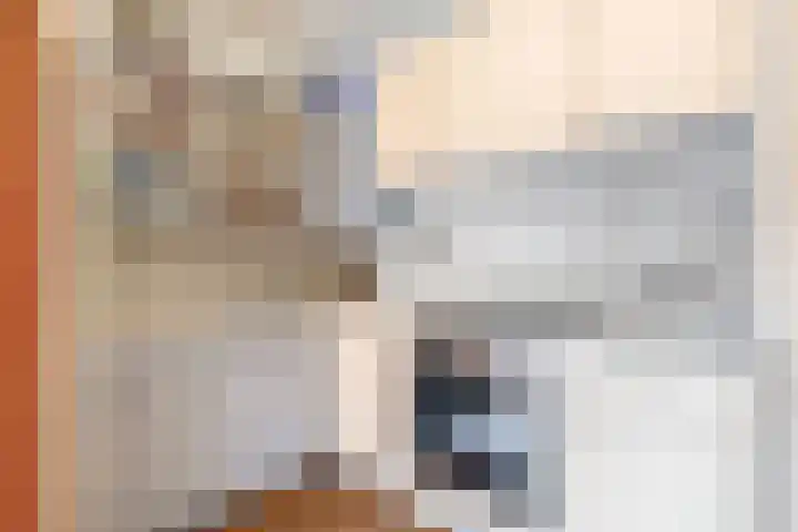 Jan Pannebakkerhof 11 Waalwijk thumbnail 18
